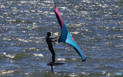 「青い海」気持ちいいよ　君も来てねぇ〜