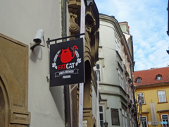 プラハ（３５）CAT-PUB・猫パブ　ビールが美味い