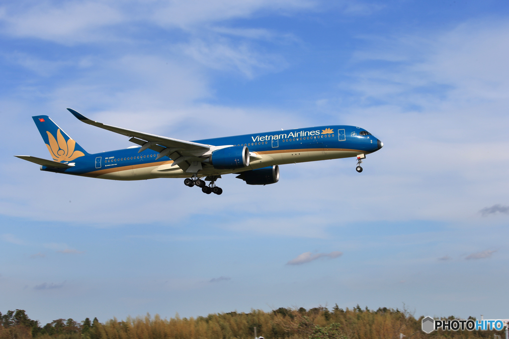 ☀「あおぞら」Vietnam A350-941 VN-A893  来た～