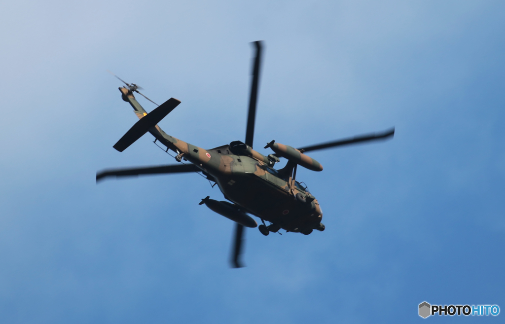 「群青色」ブラックホーク