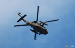 「群青色」ブラックホーク