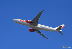 「スカイ」Lion Air A330-941 HS-LAL Takeoff