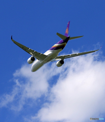「青色が好き」 THAI A350-941 HS-THL 飛ぶ