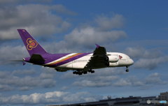 「青い日」THAI A380-841 HS-TUC 着陸します