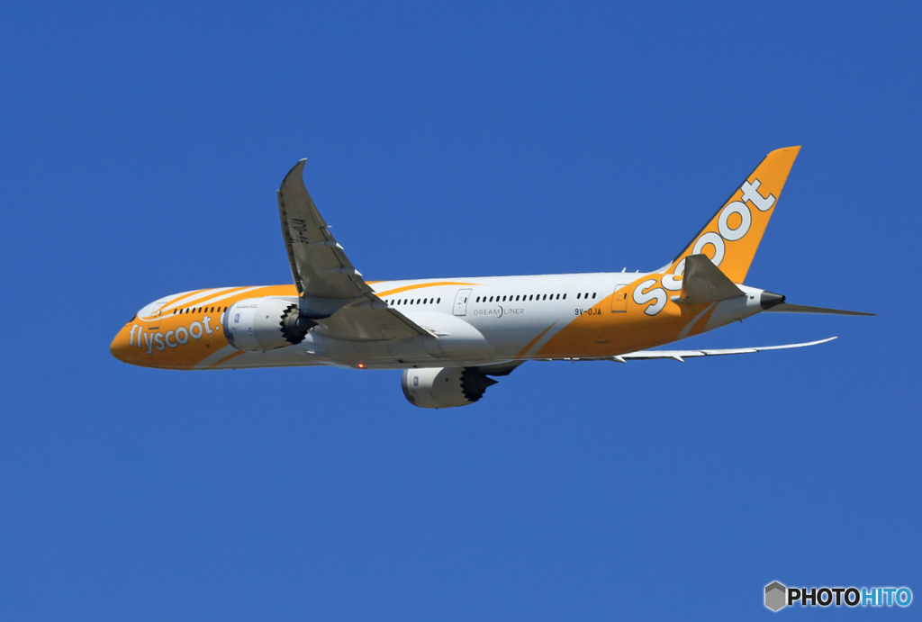 「青が好き」 scoot 787-9 9V-OJA 離陸です