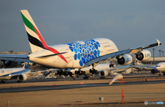 「曇り」 エミレーツ特別塗装EXPO「青」A380 Landing 