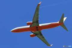 「青」 JEJU 737-8HX HL8034 離陸します