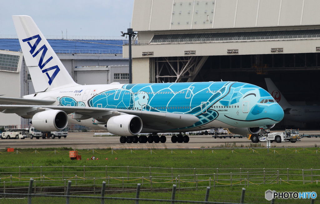 「Blue」 ANA Flying Honu JA382A Landing
