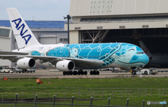 「Blue」 ANA Flying Honu JA382A Landing