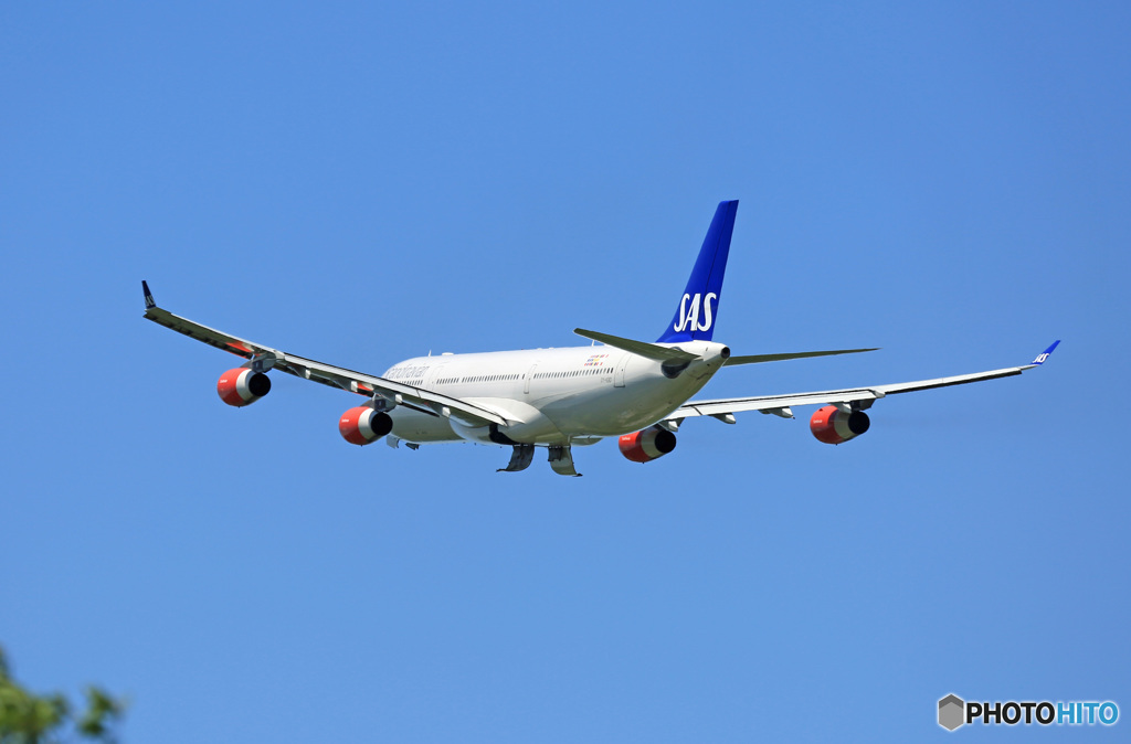 「そらー」 SAS A340-313 OY-KBD 飛行