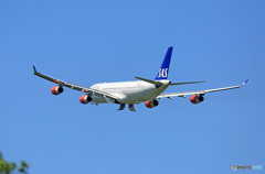 「そらー」 SAS A340-313 OY-KBD 飛行