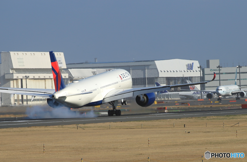「曇り」DELTA  A350-941 N509DN  Landing 