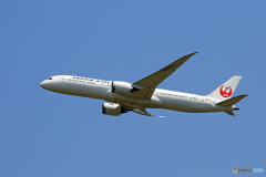 「青色」 JAL 787-9 JA863J 飛ぶ