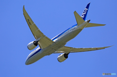 「青空」　ANA 787-8 JA874A 飛行