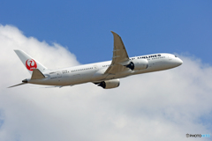 「青い空」が一番 JAL 787-9 JA865J 出発