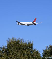 「青色が好き」SWISS A340-313 HB-JMC  飛行