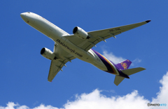 「あおぞら」 THAI A350-941 HS-THL Takeoff