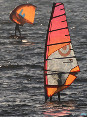 「クール」そろり~　そろり〜