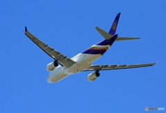 「良い天気」　Thai A330-343 HS-TBE 飛行