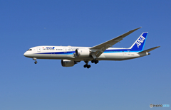 ☀「青い空」が一番ANA 787-9 JA885A到着