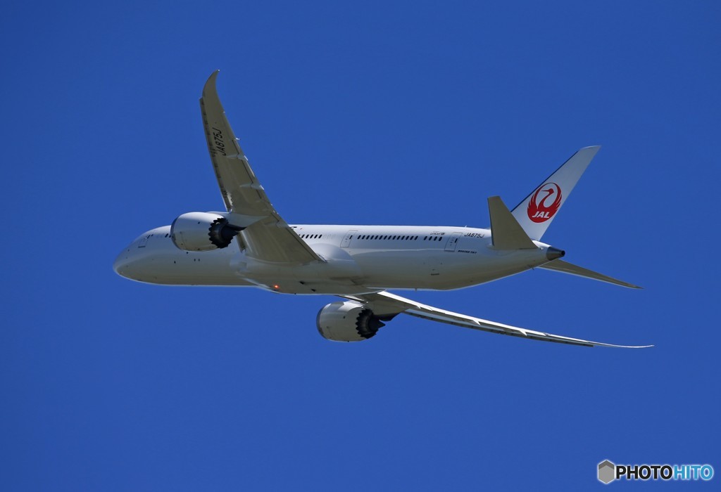 「青が好き」 JAL 787-9 JA875J 