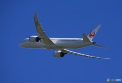 「青が好き」 JAL 787-9 JA875J 
