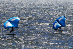 「青が好き」ちょうど良い風が吹いて....