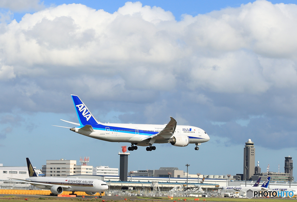 「青色が好き」 ANA 787-8 JA813A 通過