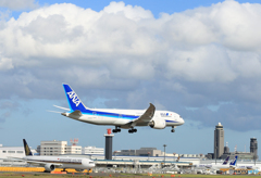 「青色が好き」 ANA 787-8 JA813A 通過