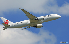 「良い空～」JAL 787-8 JA842J飛び立ち