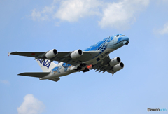 「すかい」 Flying Honu A380-841 JA381A  出発です