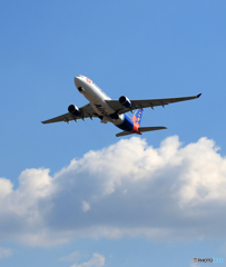 「青い空」が一番 ☮Air Calin A330-202 F-OJSE