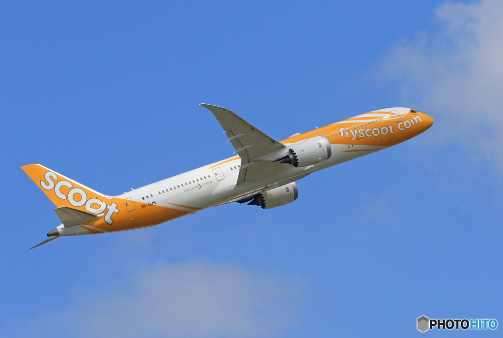 「青い日」 Scoot 787-9 9V-OJN 出発です 