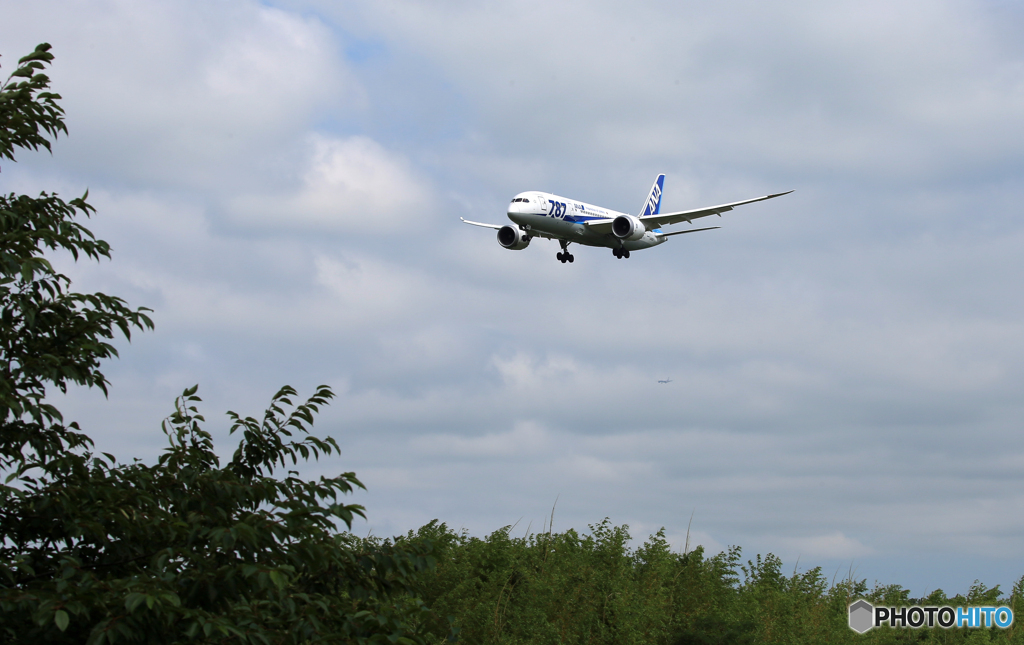 「曇り」ANA 787-8 JA820A Landing