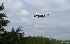 「曇り」ANA 787-8 JA820A Landing