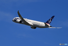 「Blue」LOTポーランド787-9 飛んだ