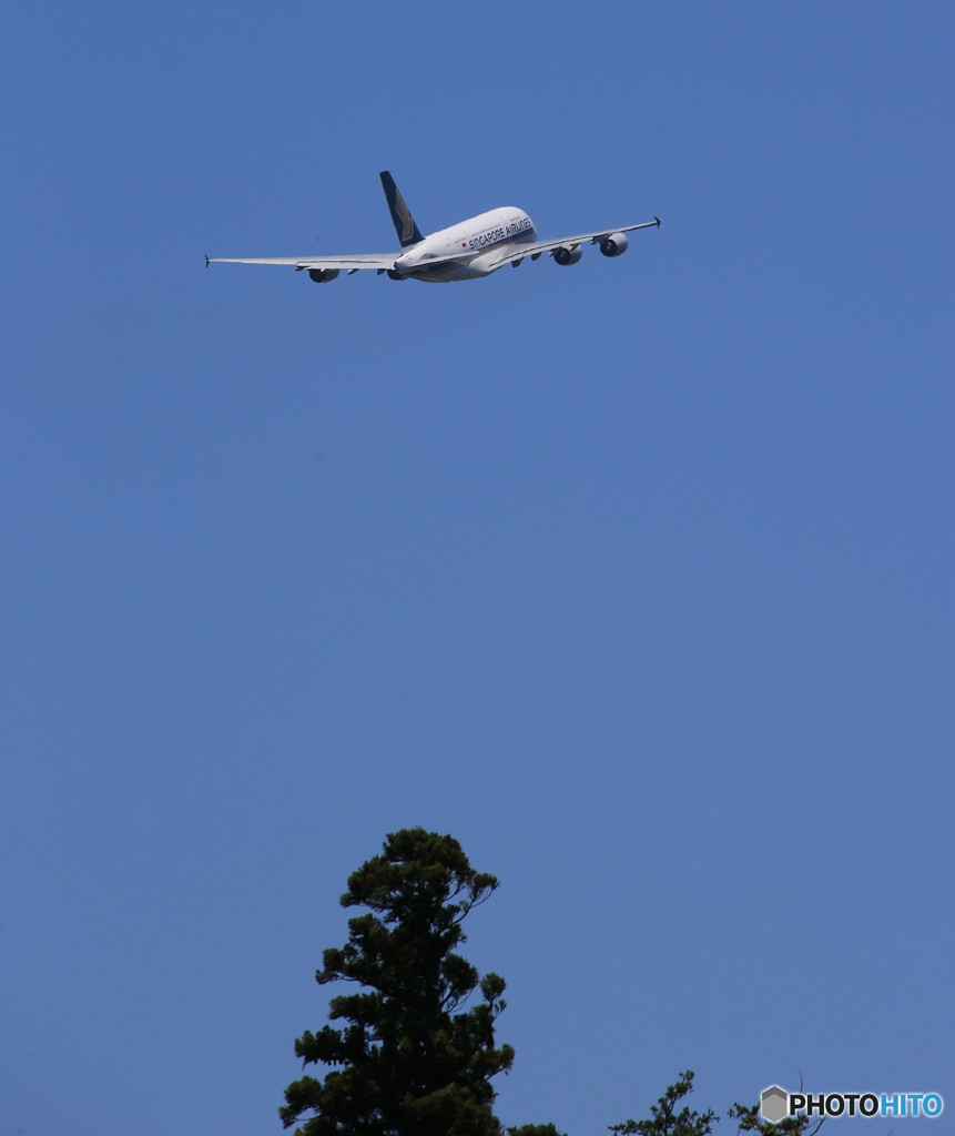 「良い空～」Singapore A380-841 離陸します