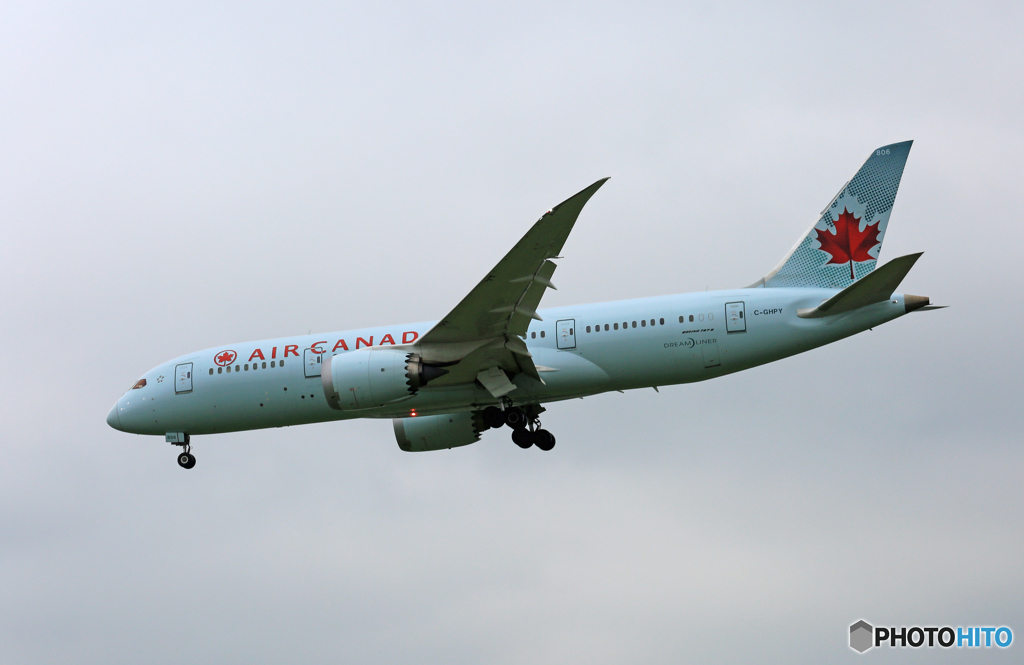 「☁」 Air Canada 787-8 C-GHPY Landing