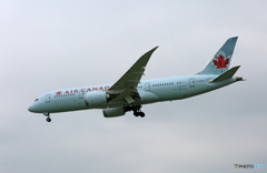 「☁」 Air Canada 787-8 C-GHPY Landing