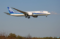 「はれー」 ANA 787-9 JA872A 着陸　します