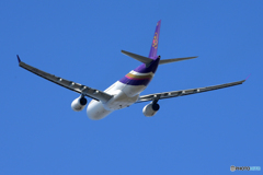 「群青」 Thai A330-300 HS-TEO Takeoff