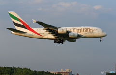 「SKY」 エミレーツ航空 A380-861 A6-EDC Landing
