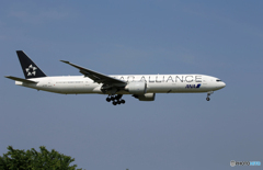 「あおぞら」ANA スタアラ777-381 JA731A Landing