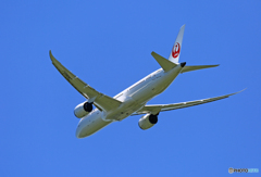 「すかい」 JAL 787-9 JA862J Takeoff 