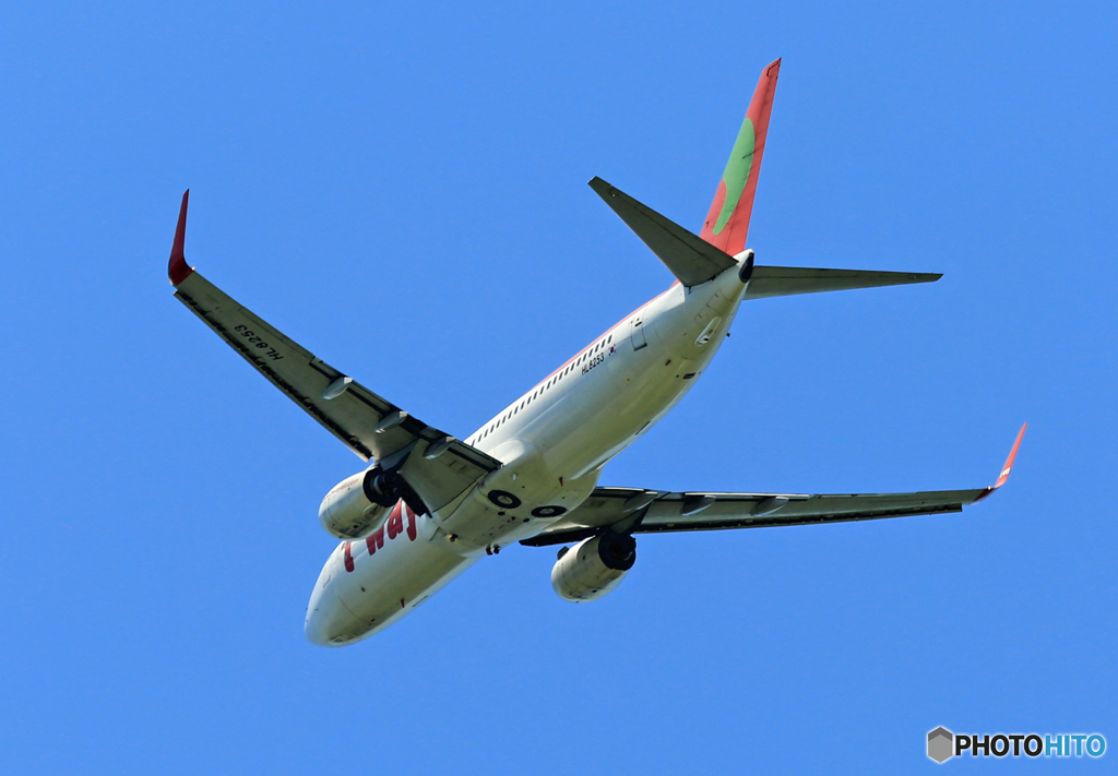 「青が好き」 t'way 737-86J HL8253 飛行