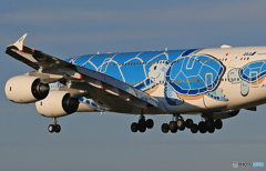 「願い」元に戻って欲しいですねと、海亀も言っています？