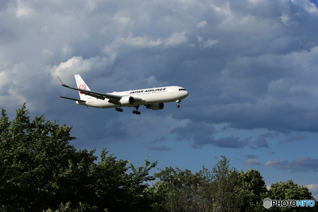 「青が大好き」JAL 767-346 JA620J Landing 