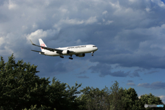 「青が大好き」JAL 767-346 JA620J Landing 
