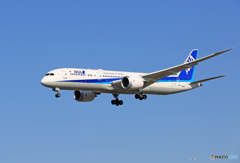 「はれ」 ANA 787-9 JA891A 着陸します