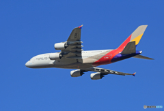 「すかい」 Asiana A380-841 HL7626 出発です